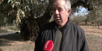 El patrimoni natural de Godall centrarà el projecte Més Museu del Montsià al març