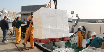 La flota d’encerclament de Tarragona i l’Ebre lamenta el “greuge comparatiu” amb Castelló per no fer la veda partida