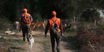Preocupació entre els caçadors ebrencs pels gats assilvestrats, la normativa de gosseres i els drons nocturns