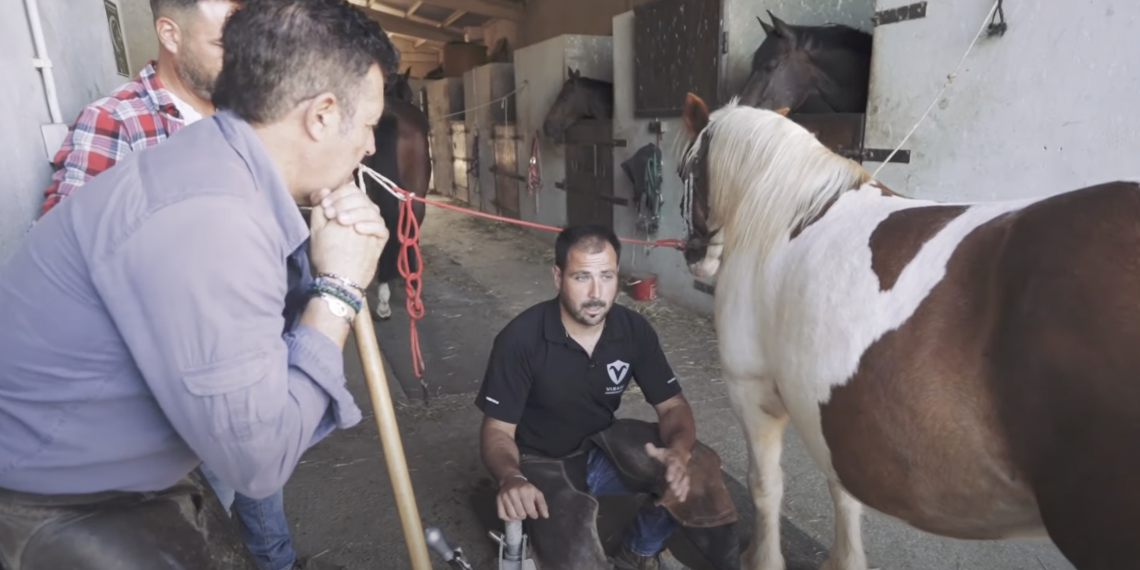 #50 Ferrador: “El sabater dels cavalls”