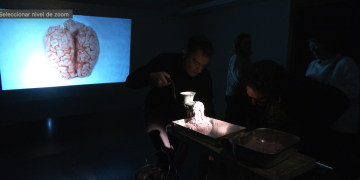 La dualitat entre l’emoció i la raó: l’exposició ‘Trinxat’ arriba Museu de l’Ebre de Tortosa