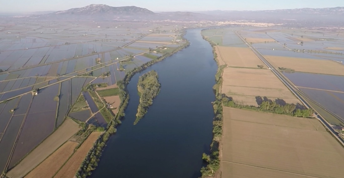 La intercol·legial de les Terres de l’Ebre s’oposa a la interconnexió de xarxes