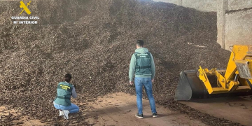 Quatre detinguts a Vinaròs acusats d’introduir al mercat il·lícitament 37 tones d’olives i garrofes al Baix Ebre