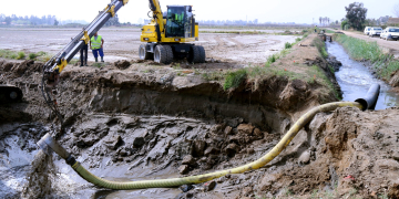 Prova pilot dels regants de l’Esquerra per lluitar contra la salinització als camps d’arròs