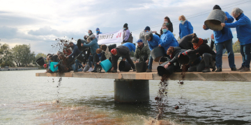 El jutjat de Falset investiga Endesa per la retenció de sediments fluvials als pantans del tram final de l’Ebre
