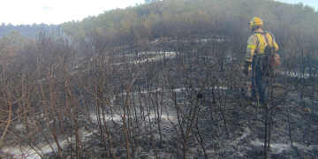 Estabilitzat l’incendi forestal a la Pobla de Massaluca, que ha afectat unes sis hectàrees