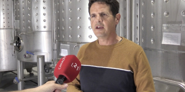 Vins Algars creix amb un nou celler al bell mig de les vinyes de Batea