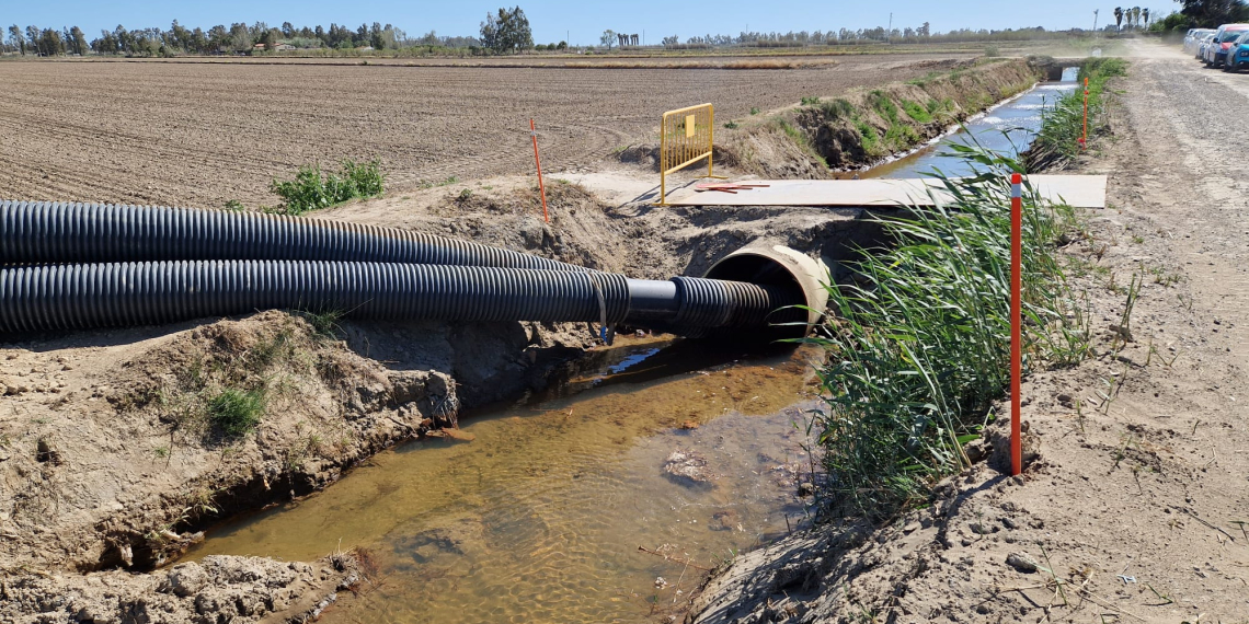 La prova pilot per drenar arrossars al Delta es podria estendre al 70% dels camps