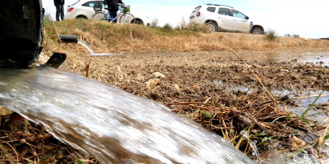Els arrossaires respiren ‘tranquils’ en l’inici de la campanya de reg sense restricció d’aigua