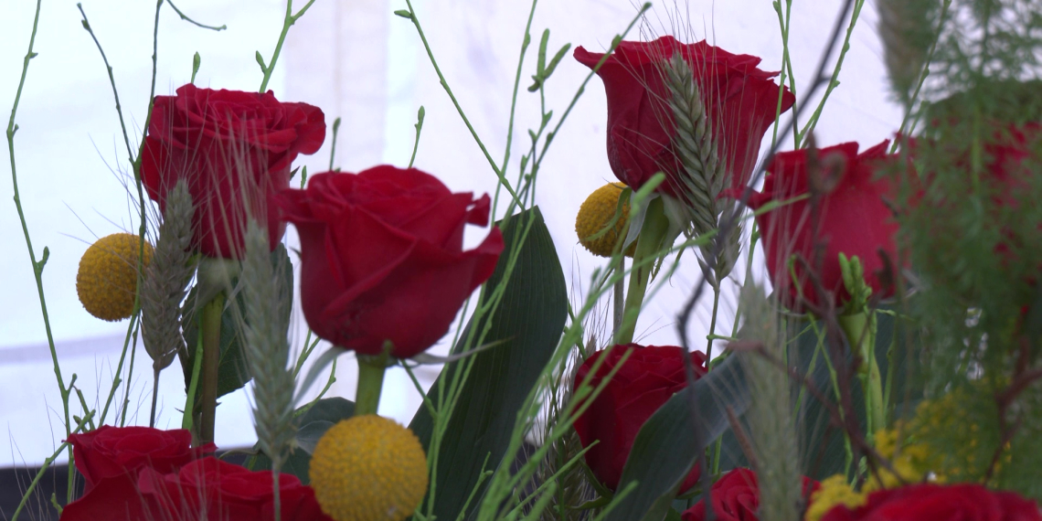 Diada de Sant Jordi 2024 a Roquetes