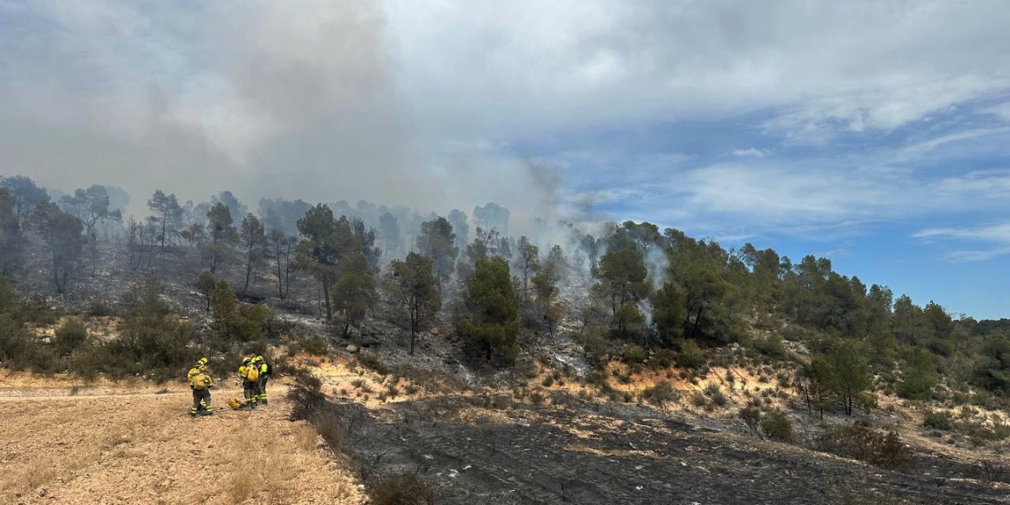 Estabilitzat l’incendi forestal de Batea, que ha afectat unes 11 hectàrees al terme municipal