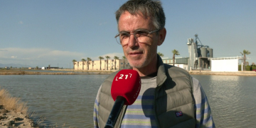 Els pagesos celebren l’inici d’una ‘campanya normal’ al delta de l’Ebre
