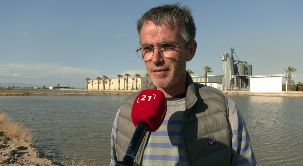 Els pagesos celebren l’inici d’una ‘campanya normal’ al delta de l’Ebre