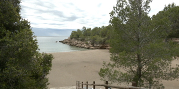 L’Ametlla de Mar perd una Bandera Blava però continua liderant el litoral ebrenc