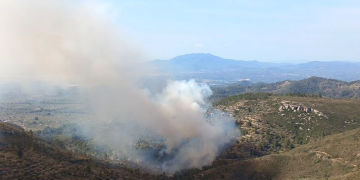 Un incendi crema al fons d’un barranc a la zona del Coll de l’Alba a Tortosa