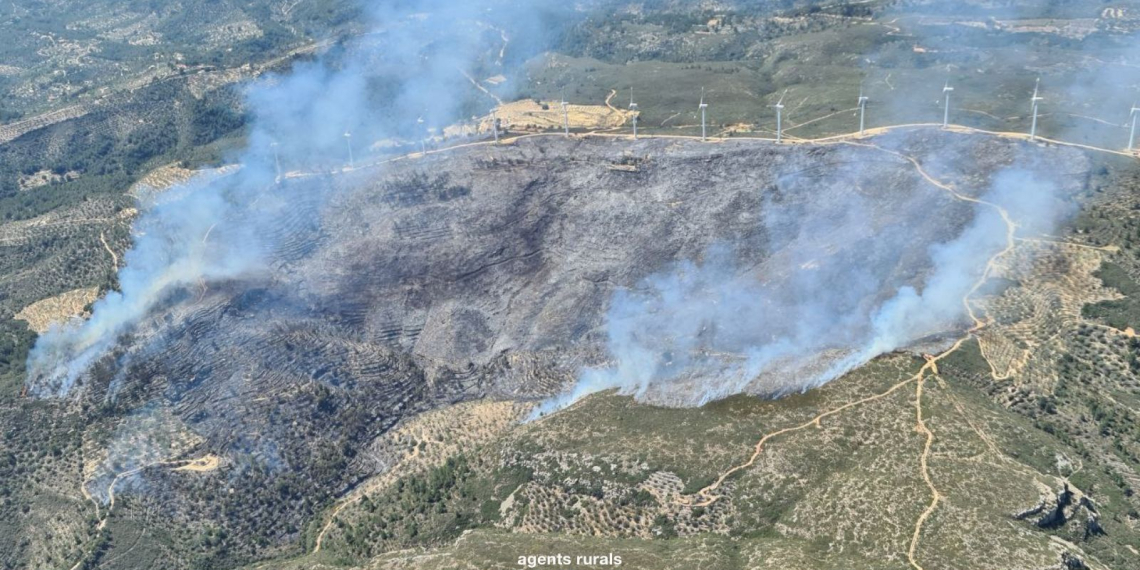Els Bombers treballen en els punts calents de l’incendi del Coll de l’Alba en una nit sense reproduccions del foc