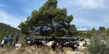 XXXVII Fira Ramadera i d’artesania de Rasquera