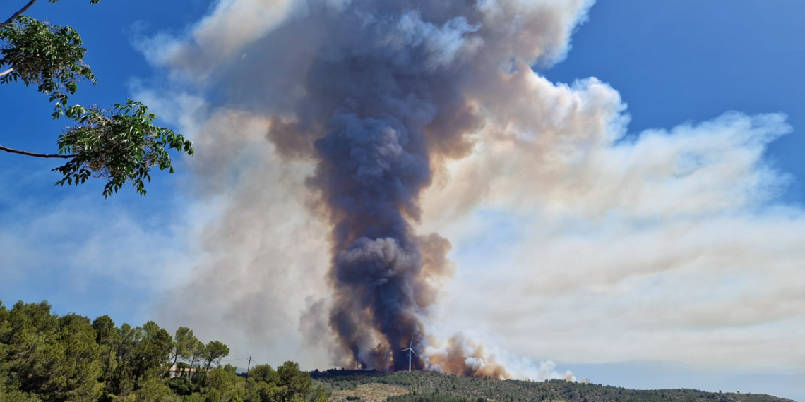 L’incendi del coll de l’Alba de Tortosa ha afectat una superfície de setanta hectàrees