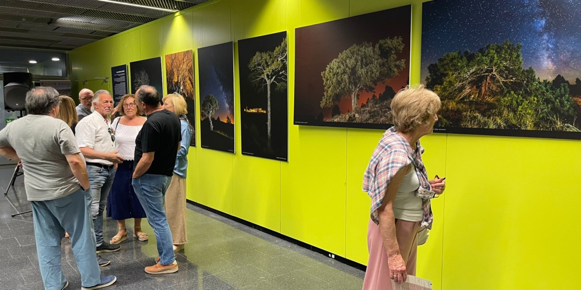 ‘Quan dormen els arbres’, l’exposició que posa en valor els arbres monumentals dels Ports