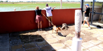 El projecte Garba mostra noves formes d’investigar i de crear art a partir de materials i reptes socials de l’Ebre