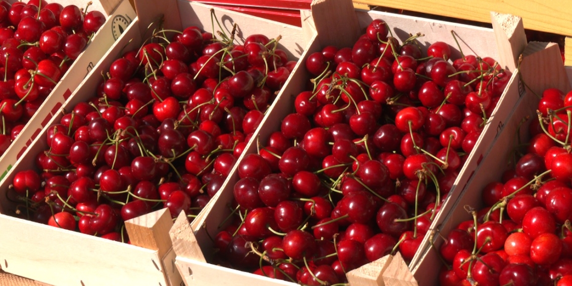 Paüls celebra la Festa de la Cirera amb la visita de Roger Torrent