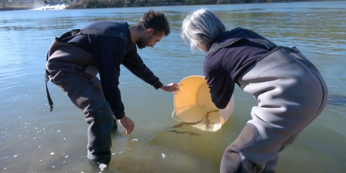 El projecte LIFE MigratoEbre culmina amb la rampa de peixos de Xerta a punt