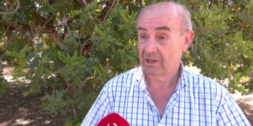 La collita d’ametlla augmentarà més d’un 30% però la de garrofa caurà un 40%