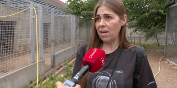 La protectora Petjades de l’Ebre ja duplica la seva capacitat per l’augment d’abandonaments