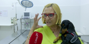 Els consells dels veterinaris per ajudar als gossos a passar una bona revetlla