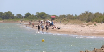 Com actuar davant d’un cop de calor?