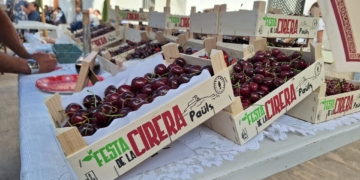 XXI Festa de la Cirera de Paüls