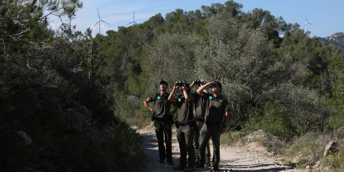 Reobren sis senders a les Terres de l’Ebre després de l’època de reproducció de l’àliga cuabarrada
