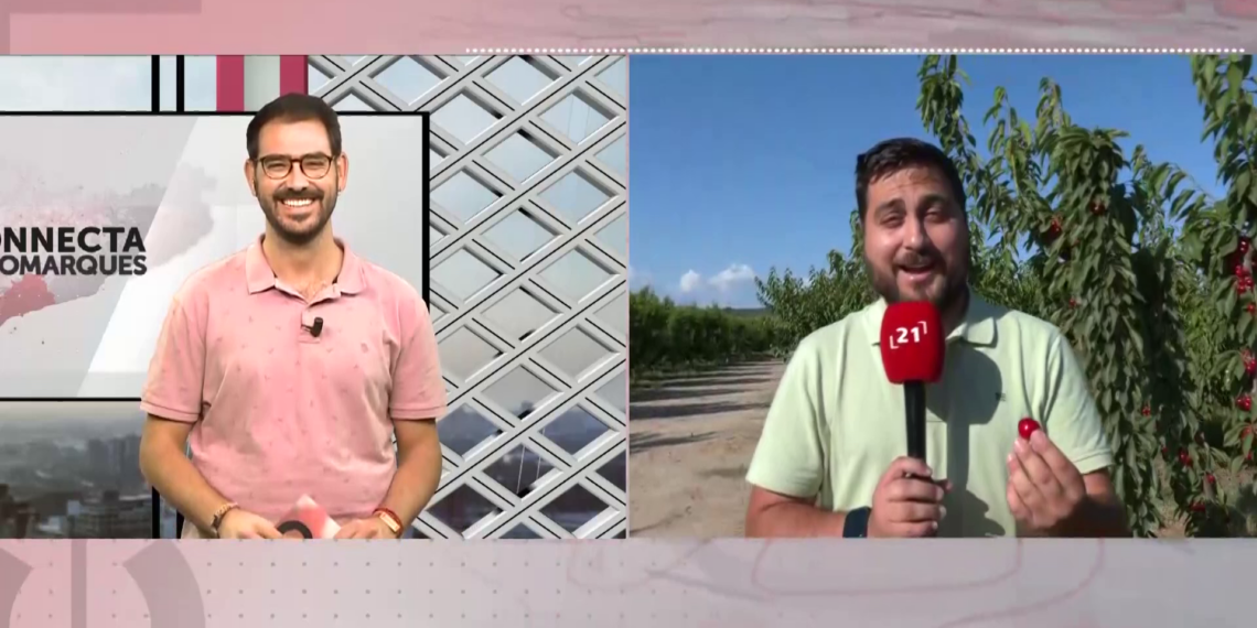 Comença la temporada de fruita dolça a la Ribera d’Ebre