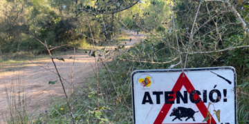 Acció Climàtica defensa que han fet una vuitantena de controls de fauna cinegètica per tuberculosis als Ports