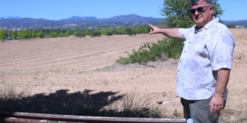 Modifiquen el planejament del polígon del Molló, sense activitat 12 anys després de la seva inauguració