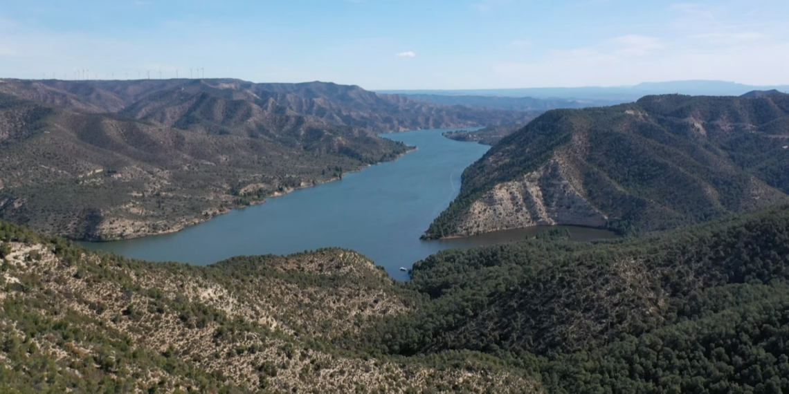 La Terra Alta crea una taula per a la gestió i l’aprofitament de la biomassa