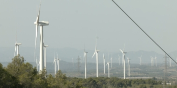 La DO Terra Alta rebutja les tres noves centrals eòliques projectades a la comarca