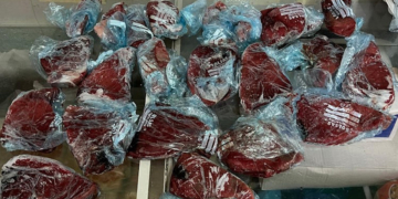 Comissen sis quilos de tonyina vermella d’un restaurant de l’Ametlla de mar