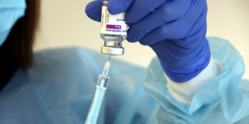 L’esplendor del segle XVI retorna a Tortosa amb la XXVII Festa del Renaixement