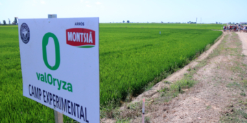 Joan Curto, entrenador de l’Handbol Amposta: ‘El debut en lliga a la pista de l’OAR Gràcia Sabadell serà duríssim’  