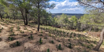 Joan Curto, entrenador de l’Handbol Amposta: ‘El debut en lliga a la pista de l’OAR Gràcia Sabadell serà duríssim’  