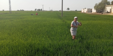 Joan Curto, entrenador de l’Handbol Amposta: ‘El debut en lliga a la pista de l’OAR Gràcia Sabadell serà duríssim’  