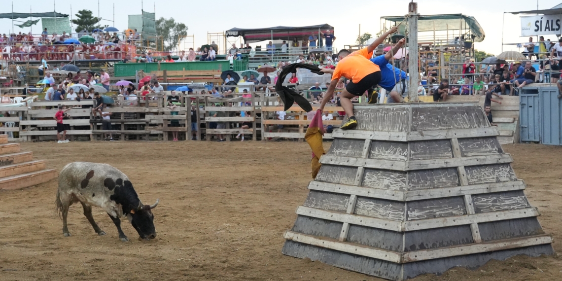 Com eren i com són les festes amb bous a l’Ebre