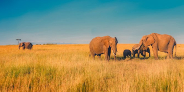 El Terres Travel Festival engega motors amb les millors peces audiovisuals sobre destins turístics