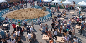 Centenars de persones participen de la Festa de la Sega de l’Ampolla