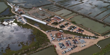 El Delta Birding Festival celebra deu anys consolidat com un referent de l’ornitologia