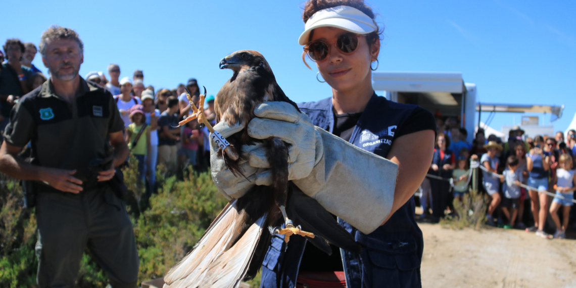 El Delta Birding Festival programa una quarantena d’activitats per celebrar el vintè aniversari