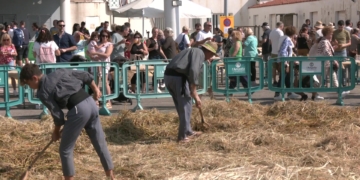 Festa de la Sega de l’Ampolla 2024