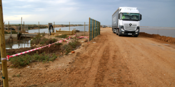 Les salines de la Trinitat han perdut un 10% d’extensió amb la regressió del Delta