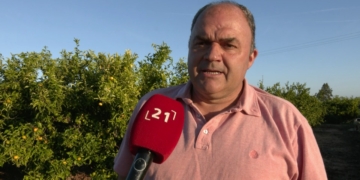La sequera rebaixa la producció de clementina en l’inici de la campanya de cítrics